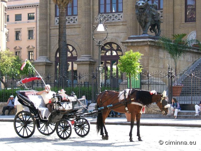 ../Images/Palermo_0152.jpg