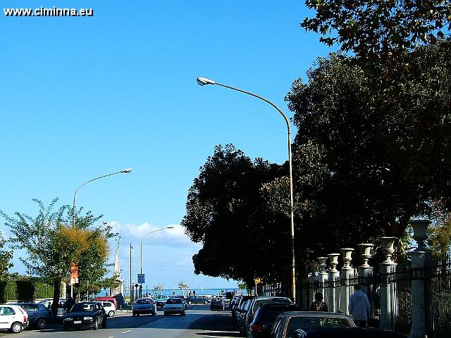 Palermo_6_0072 