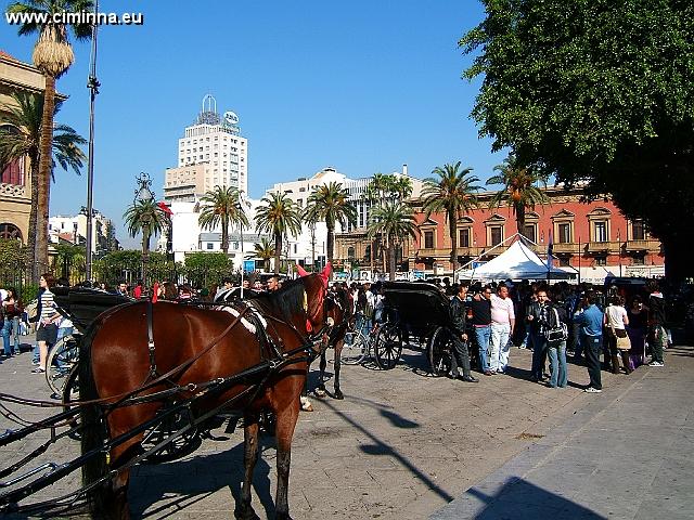 Palermo_Aprile06_ 018 