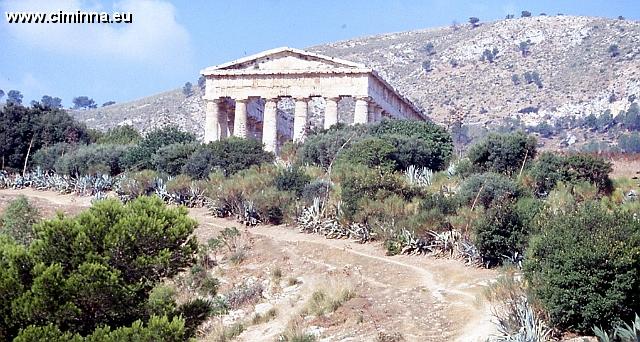 Segesta0598 