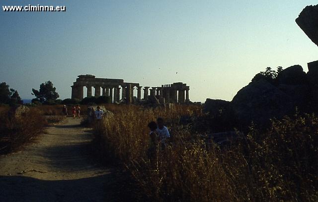 Segesta0696 