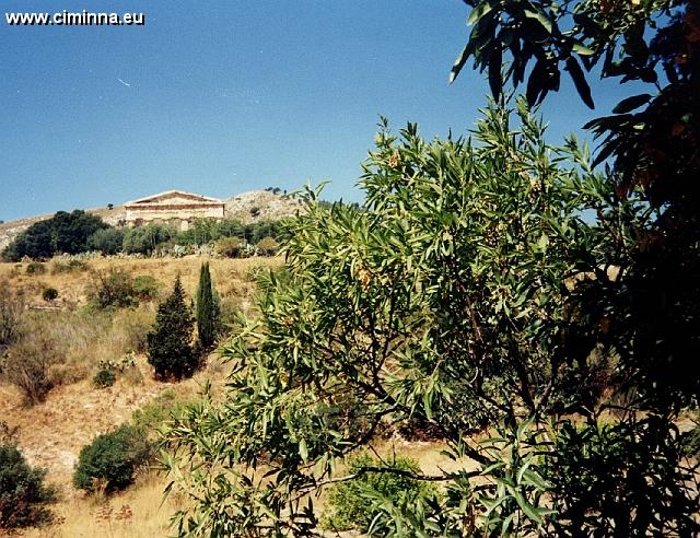 Segesta3_0011 