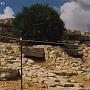 TP_Segesta_1_006 