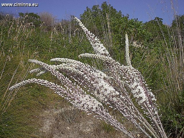 Ciminna_Territorio_1_0049 