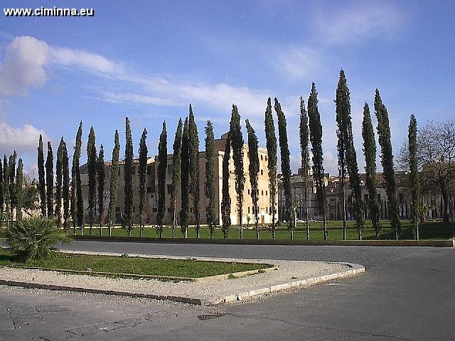 Palermo__2_138 