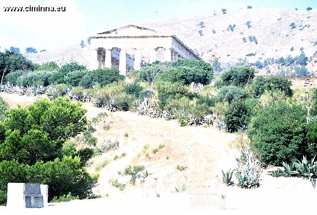 Segesta0596 