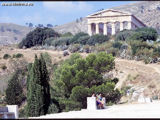 Segesta0597 