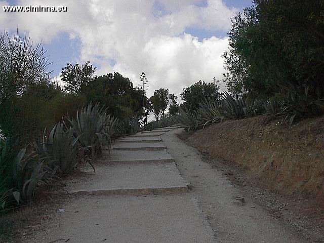 Segesta066 