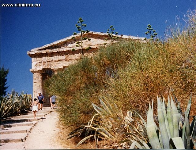 Segesta1309 