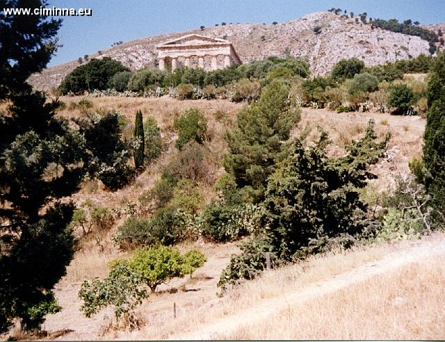 Segesta3_0009 