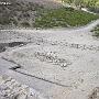 TP_Segesta_1_055