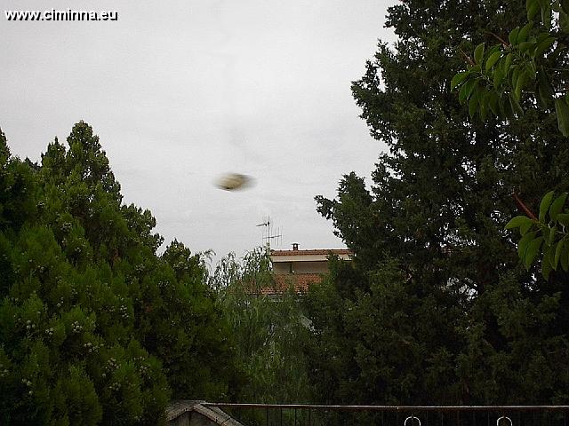 Ufo_008 