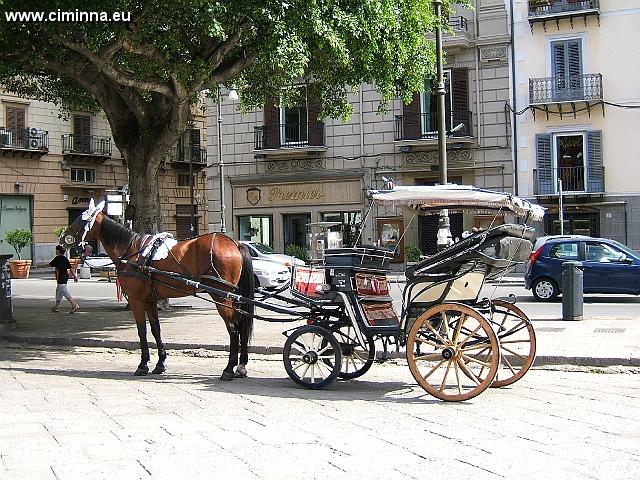 Palermo_1_0022 