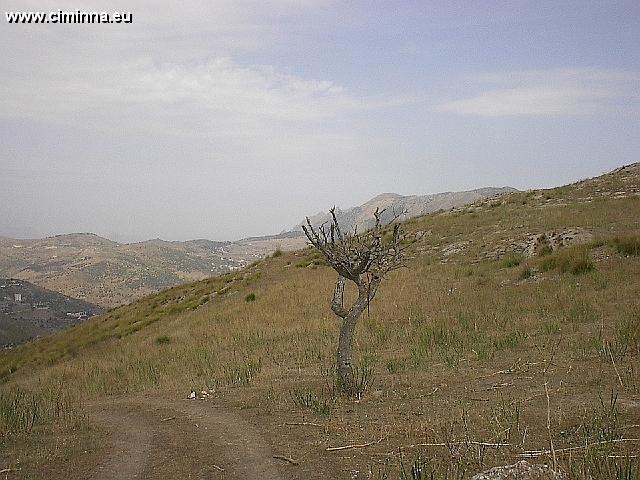 Ciminna_Territorio_1_0053 