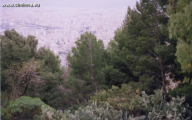 Palermo_3_010 