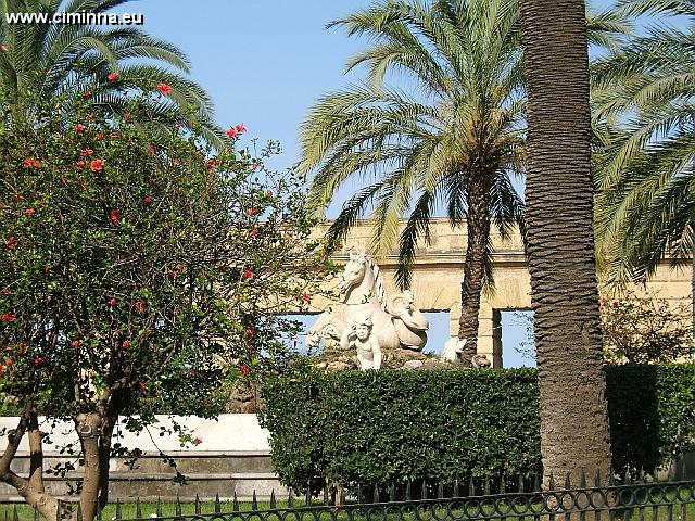 Palermo_6_0144 