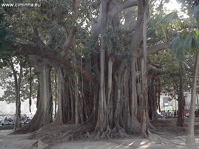 PalermoVilla_Garibaldi 008 