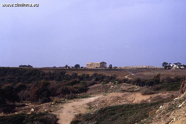 Segesta1037 