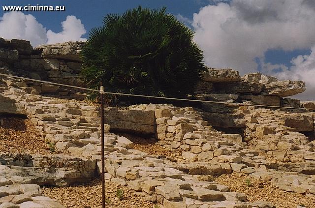 TP_Segesta_1_006 